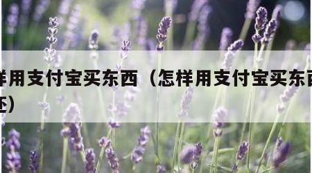 怎样用支付宝买东西（怎样用支付宝买东西不用还）