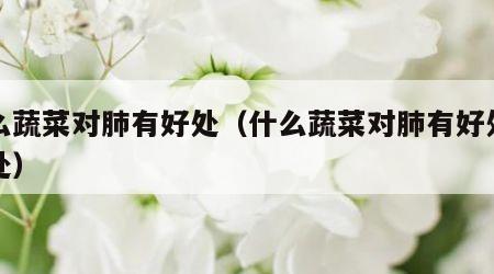 什么蔬菜对肺有好处(什么蔬菜对肺有好处和坏处)