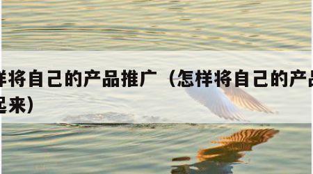 怎样将自己的产品推广(怎样将自己的产品推广起来)