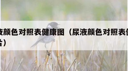 尿液颜色对照表健康图（尿液颜色对照表健康图片）