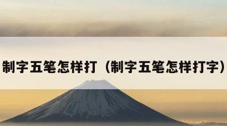 制字五笔怎样打（制字五笔怎样打字）