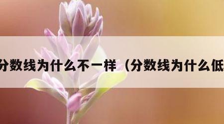 分数线为什么不一样（分数线为什么低）