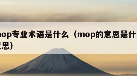 mop专业术语是什么（mop的意思是什么意思）