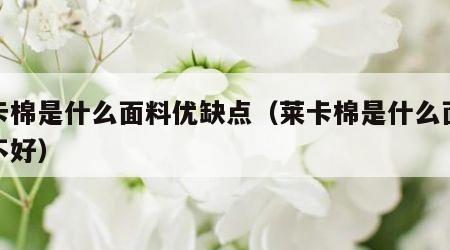 莱卡棉是什么面料优缺点（莱卡棉是什么面料好不好）