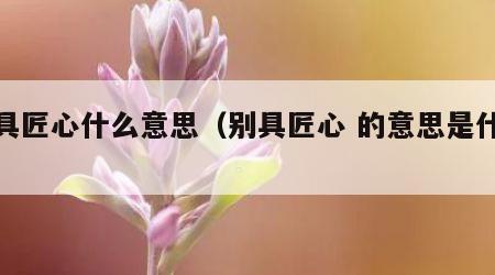 别具匠心什么意思（别具匠心 的意思是什么）