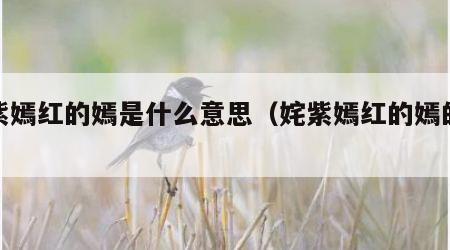 姹紫嫣红的嫣是什么意思（姹紫嫣红的嫣的意思）