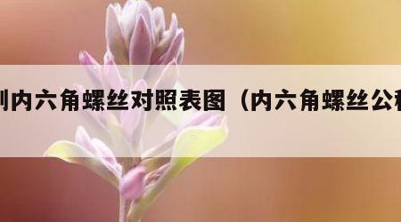 公制内六角螺丝对照表图(内六角螺丝公称长度)