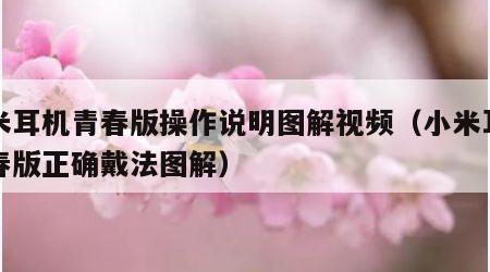 小米耳机青春版操作说明图解视频(小米耳机青春版正确戴法图解)