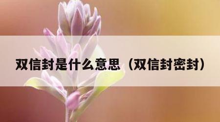 双信封是什么意思（双信封密封）