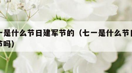 七一是什么节日建军节的（七一是什么节日建党节吗）