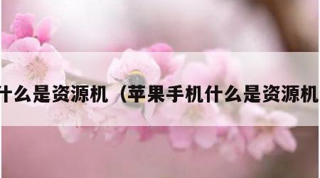什么是资源机（苹果手机什么是资源机）
