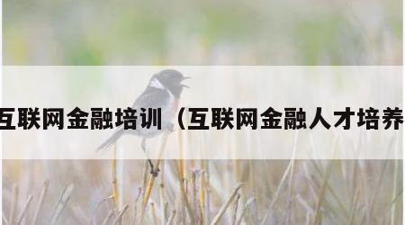 互联网金融培训（互联网金融人才培养）
