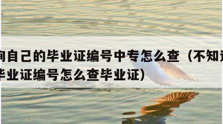 查询自己的毕业证编号中专怎么查（不知道中专毕业证编号怎么查毕业证）
