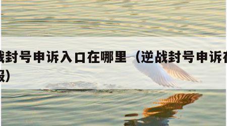 逆战封号申诉入口在哪里（逆战封号申诉在线客服）