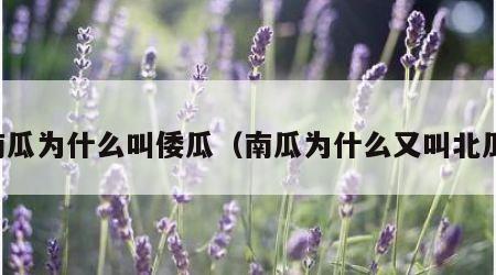 南瓜为什么叫倭瓜（南瓜为什么又叫北瓜）