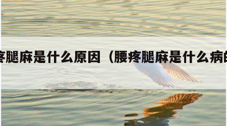 腰疼腿麻是什么原因（腰疼腿麻是什么病的前兆）