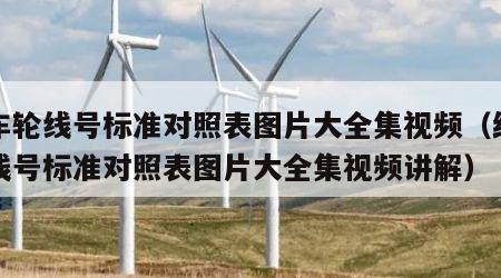 纺车轮线号标准对照表图片大全集视频（纺车轮线号标准对照表图片大全集视频讲解）