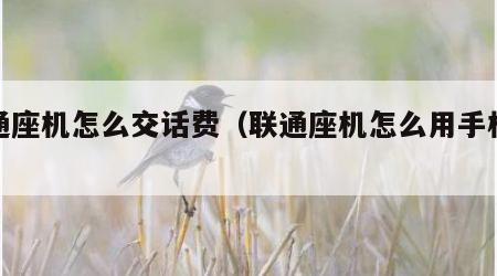 联通座机怎么交话费（联通座机怎么用手机缴费）