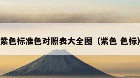 紫色标准色对照表大全图（紫色 色标）