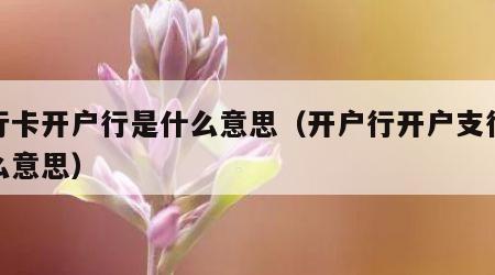 银行卡开户行是什么意思（开户行开户支行是什么意思）