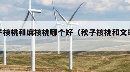 秋子核桃和麻核桃哪个好（秋子核桃和文玩核桃）