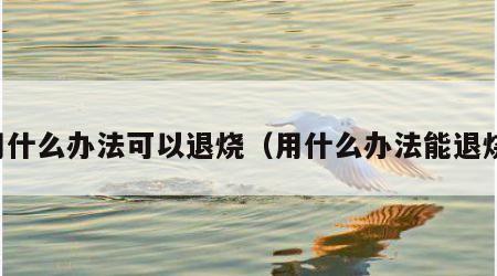 用什么办法可以退烧（用什么办法能退烧）