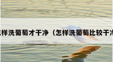 怎样洗葡萄才干净（怎样洗葡萄比较干净）