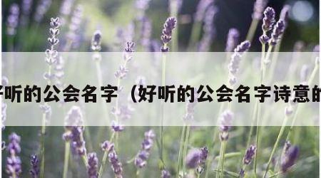 好听的公会名字（好听的公会名字诗意的）