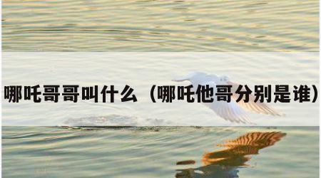 哪吒哥哥叫什么（哪吒他哥分别是谁）