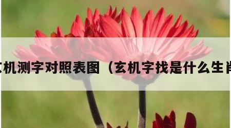 玄机测字对照表图（玄机字找是什么生肖）