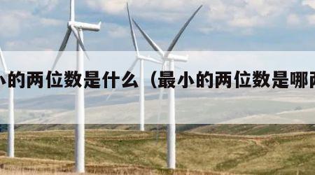 最小的两位数是什么（最小的两位数是哪两位数）