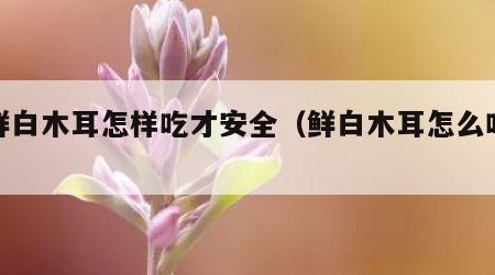 新鲜白木耳怎样吃才安全（鲜白木耳怎么吃最好）