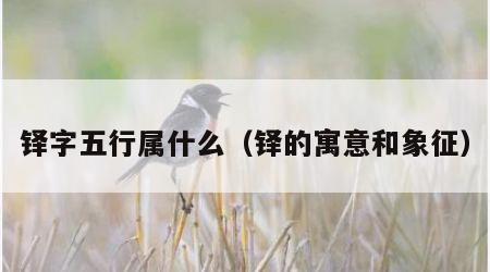 铎字五行属什么（铎的寓意和象征）
