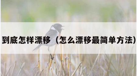 到底怎样漂移（怎么漂移最简单方法）