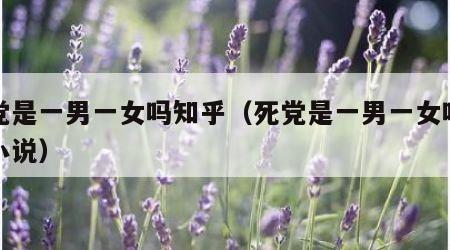 死党是一男一女吗知乎（死党是一男一女吗知乎小说）