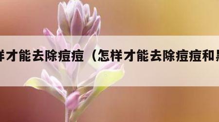 怎样才能去除痘痘（怎样才能去除痘痘和黑头）