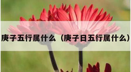 庚子五行属什么（庚子日五行属什么）