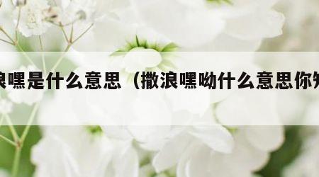 撒浪嘿是什么意思（撒浪嘿呦什么意思你知道吗）