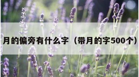 月的偏旁有什么字（带月的字500个）