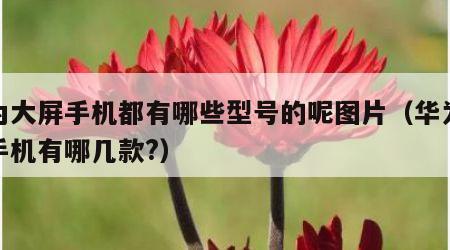 华为大屏手机都有哪些型号的呢图片（华为大屏手机有哪几款?）
