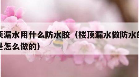 楼顶漏水用什么防水胶（楼顶漏水做防水的步骤是怎么做的）