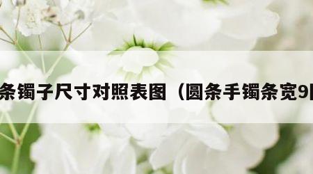 圆条镯子尺寸对照表图（圆条手镯条宽9图）