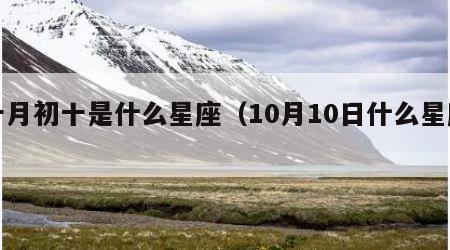 十月初十是什么星座（10月10日什么星座）