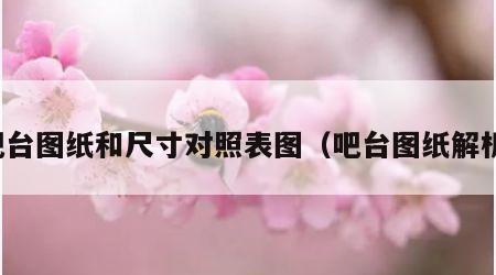 吧台图纸和尺寸对照表图（吧台图纸解析）