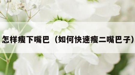 怎样瘦下嘴巴（如何快速瘦二嘴巴子）