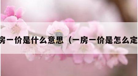 一房一价是什么意思（一房一价是怎么定的）