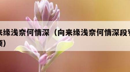 向来缘浅奈何情深（向来缘浅奈何情深段宥临黎颂）