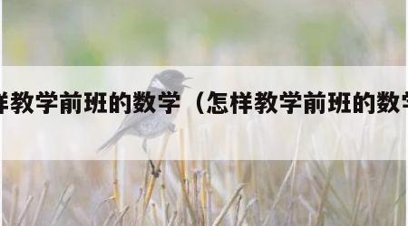 怎样教学前班的数学（怎样教学前班的数学题）