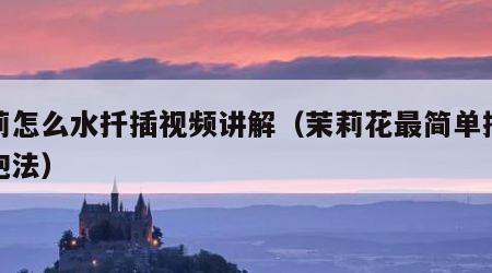 茉莉怎么水扦插视频讲解（茉莉花最简单插扦水泡法）