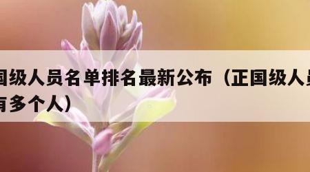正国级人员名单排名最新公布（正国级人员名单有多个人）